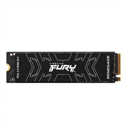 SFYRS 500G 500G FURY RENEG. M.2 2280 NVMe PCIe gen 4.0 SSD