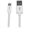 Cavo Lightning a USB