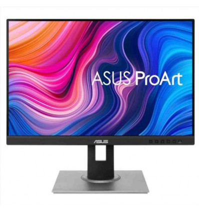 ASUS ProArt Display PA248CNV