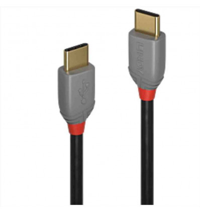 Cavo USB 2.0 Tipo C Anthra Line, 0.5m