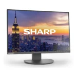Sharp MultiSync EA242W Monitor PC 61 cm (24") 1920 x 1200 Pixel Full HD LCD Nero - immagine 2