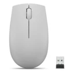 Lenovo Mouse wireless 300 compatto (Grigio Artico)