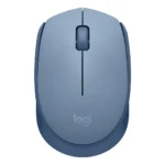 Logitech M171