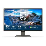 Philips P Line 439P1/00 Monitor PC 108 cm (42.5") 3840 x 2160 Pixel 4K Ultra HD LCD Nero - immagine 2